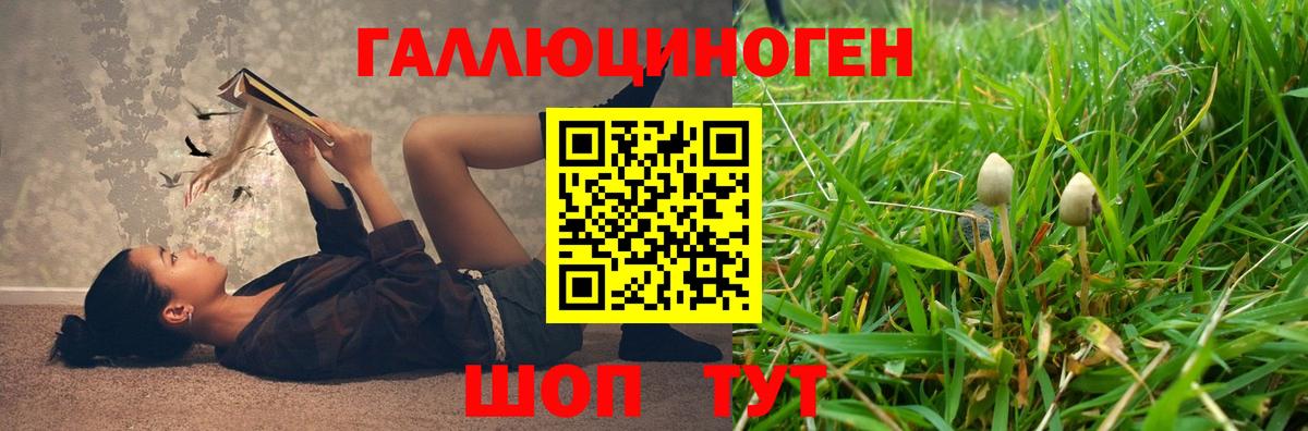 где можно купить   Вход с VPN  Пенза  Псилоцибиновые грибы мухоморы  Галлюциногенные грибы Magic Shrooms 